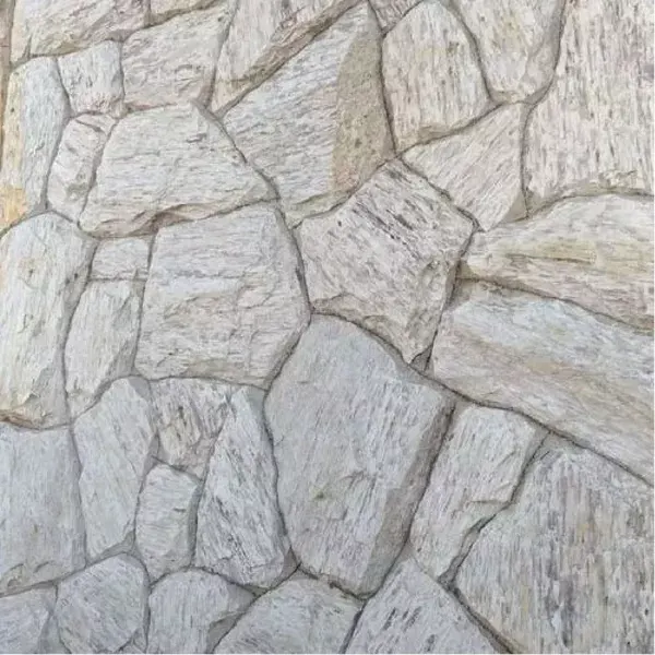 Textura em close da Madeira Branca