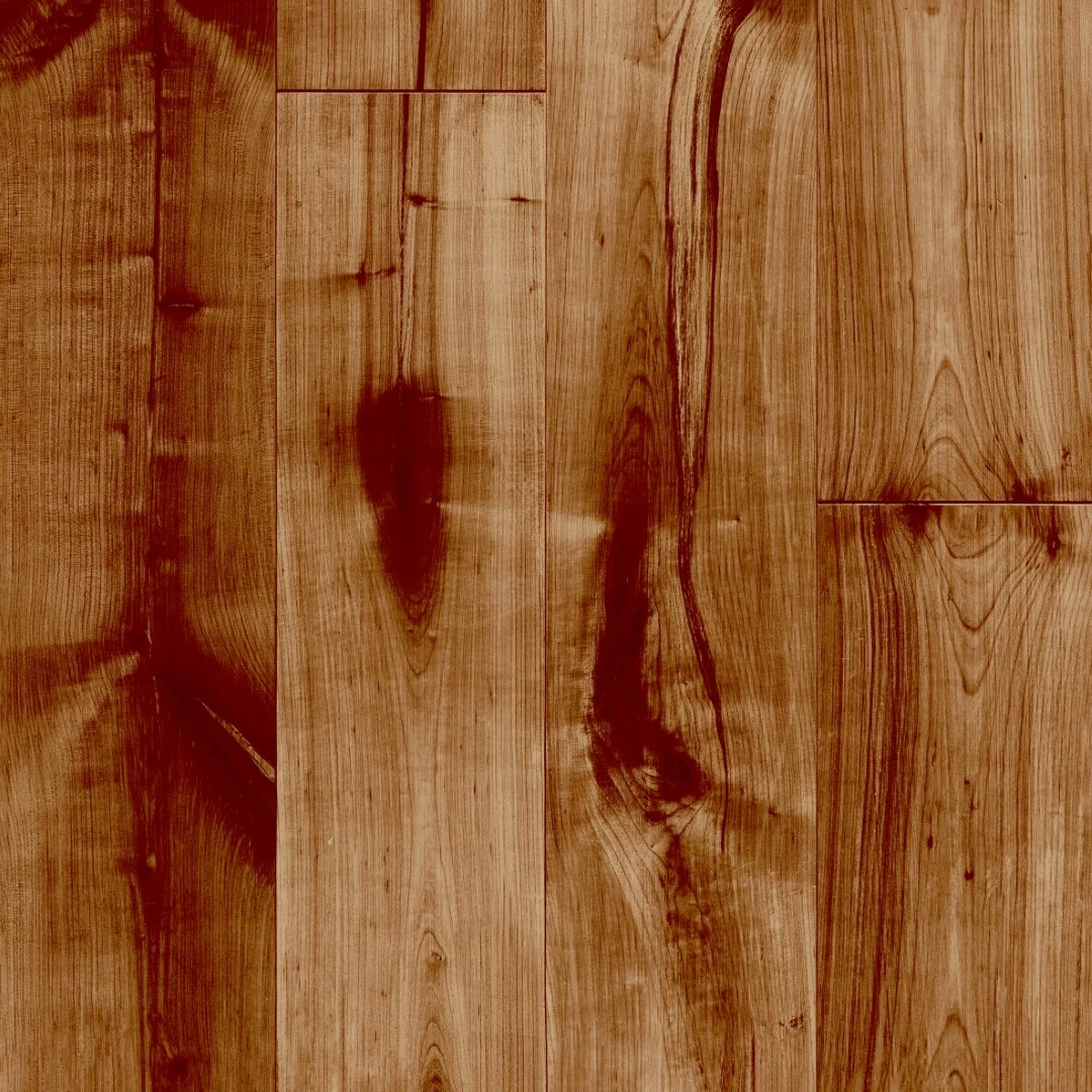Piso Ceramico Araucaria 57x57 Bold Karina
